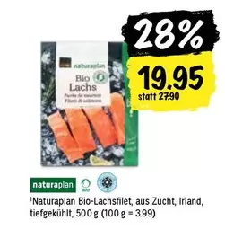Bio Lachsfilet
