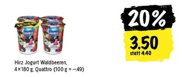 Joghurt Waldbeeren