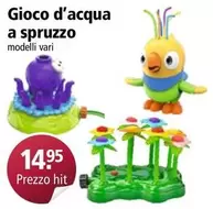 Gioco d'acqua a spruzzo