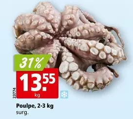 Poulpe