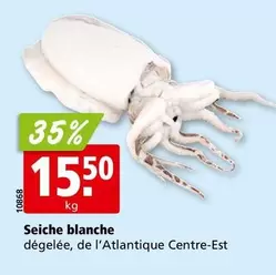 Seiche blanche