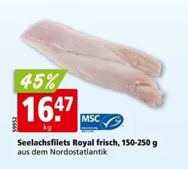 Royal - Seelachsfilets  frisch