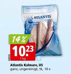 Atlantis Kalmare, U5 ganz, ungereinigt, tk, 10 x