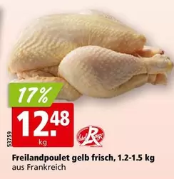 Freilandpoulet gelb frisch
