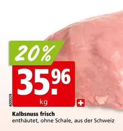 Kalbsnuss frisch