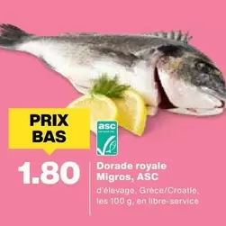 Dorade royale