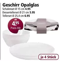 Geschirr Opalglas