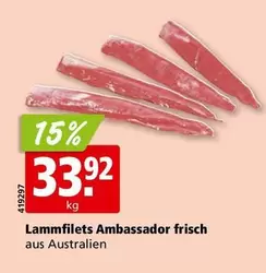 Lammfilets frisch aus Australien