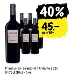 Primitivo del Salento IGT Andante 2024