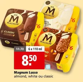 Magnum - Lusso almond, white ou classic