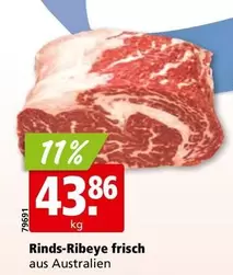 Rinds-Ribeye frisch