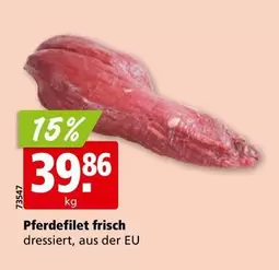 Pferdefilet frisch