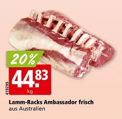 Lamm-Racks Ambassador frisch