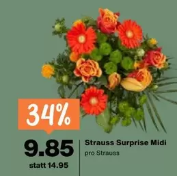 Strauss Surprise Midi