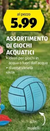 ASSORTIMENTO DI GIOCHI ACQUATICI