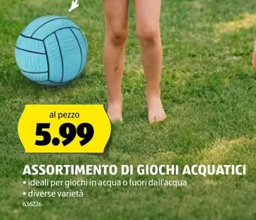 ASSORTIMENTO DI GIOCHI ACQUATICI 636226