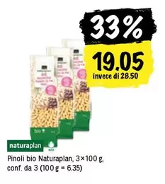 Pinoli bio