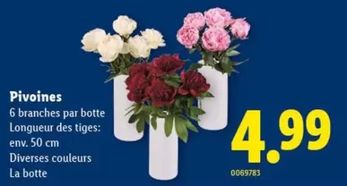 Pivoines