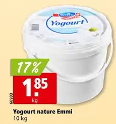 Yogurt nature