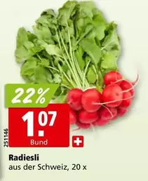 Radiesli