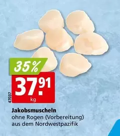 Jakobsmuscheln