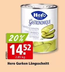 Gurken Längsschnitt