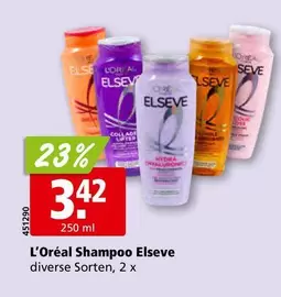 Shampoo