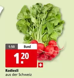 Radiesli