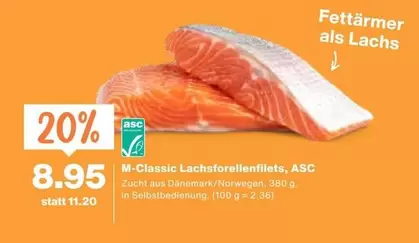 Lachsforellenfilets