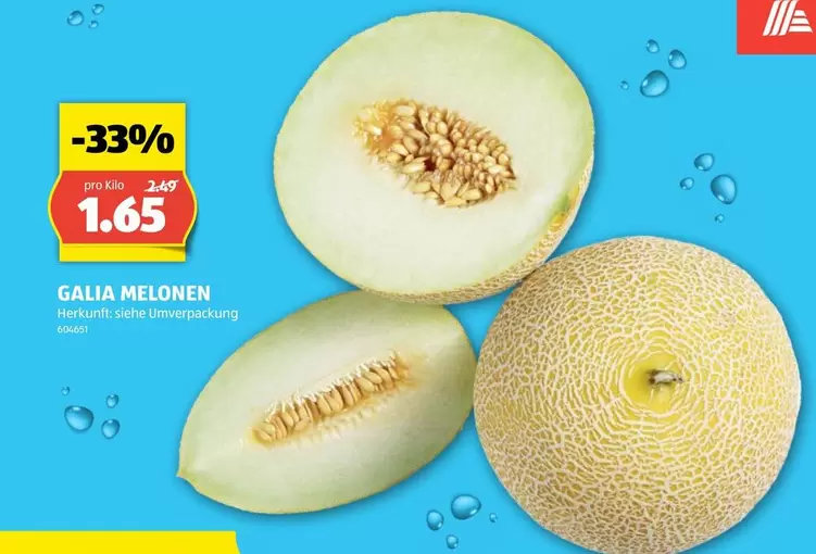 GALIA MELONEN