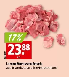 Lamm-Vorenssen frisch