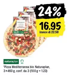 Pizza Mediterranea bio