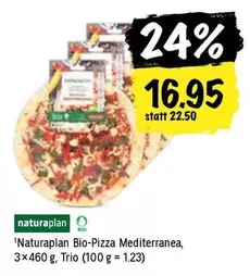 Bio-Pizza Mediterranea