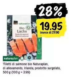 Filetti di salmone bio