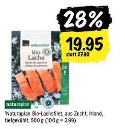 Bio Lachsfilet