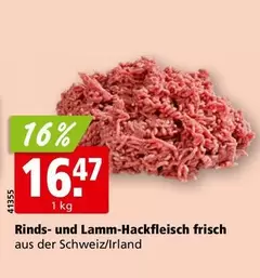 Rinds- und Lamm-Hackfleisch frisch