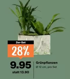 Grünpflanzen