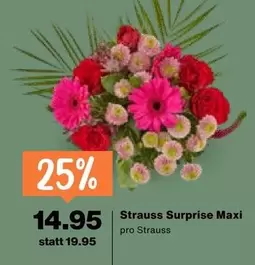 Strauss Surprise Maxi