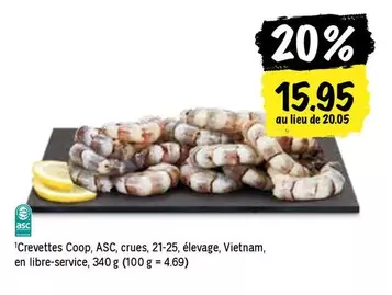 Crevettes crues