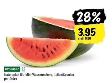 Bio-Mini-Wassermelone