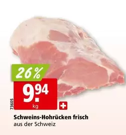 Schweins-Hohrücken frisch