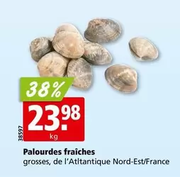 Palourdes fraîches