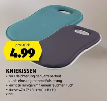 KNIEKISSEN