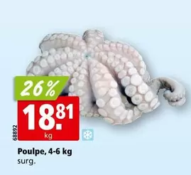 Poulpe