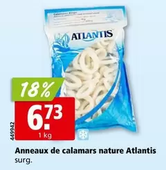 Anneaux de calamars nature