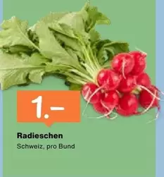Radieschen
