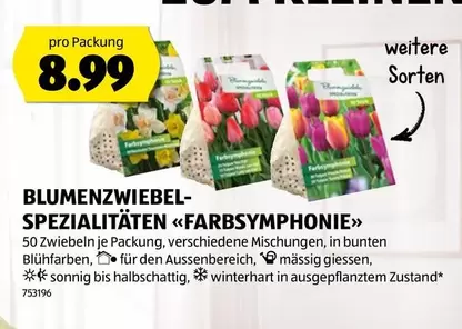 BLUMENZWIEL-SPEZIALITÄTEN «FARBSYMPHONIE»