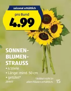 SONNENBLUMENSTRAUSS 289617