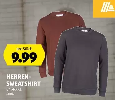 HERREN-SWEATSHIRT Gr. M-XXL 731032