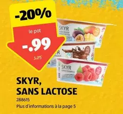 SKYR, SANS LACTOSE